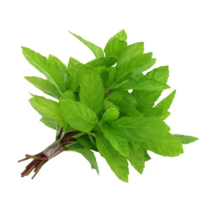 Fresh organic Qatari mint, 180g, harvested at Heenat Salma. Perfect for drinks, salads, and garnishes. Order now for farm-fresh flavor.