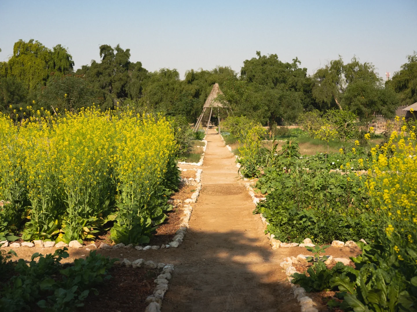 Qatar National Environment Day